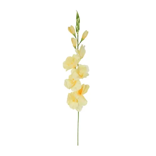 Gladiolus– vetvička 77 cm K321